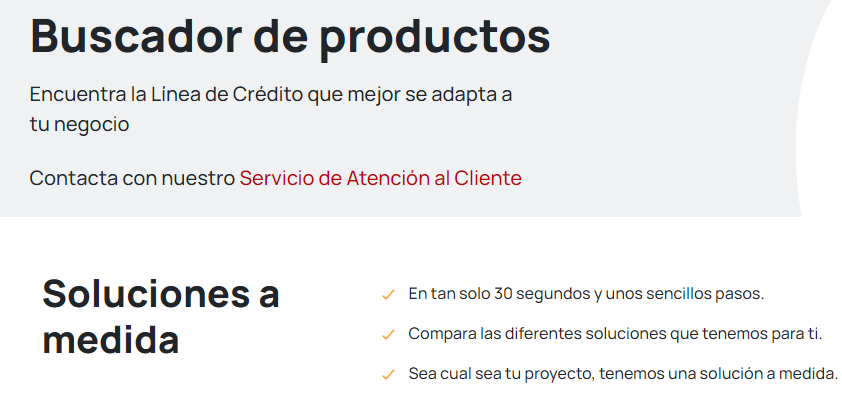 detalle del buscador de productos