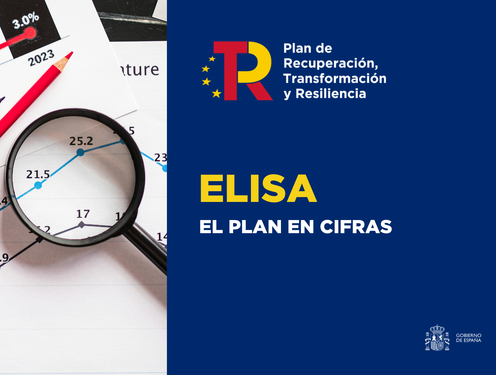 ELISA el plan en cifras