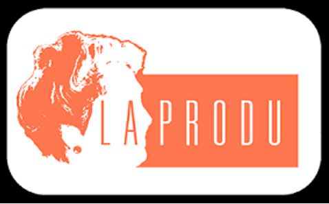Logo la Produ
