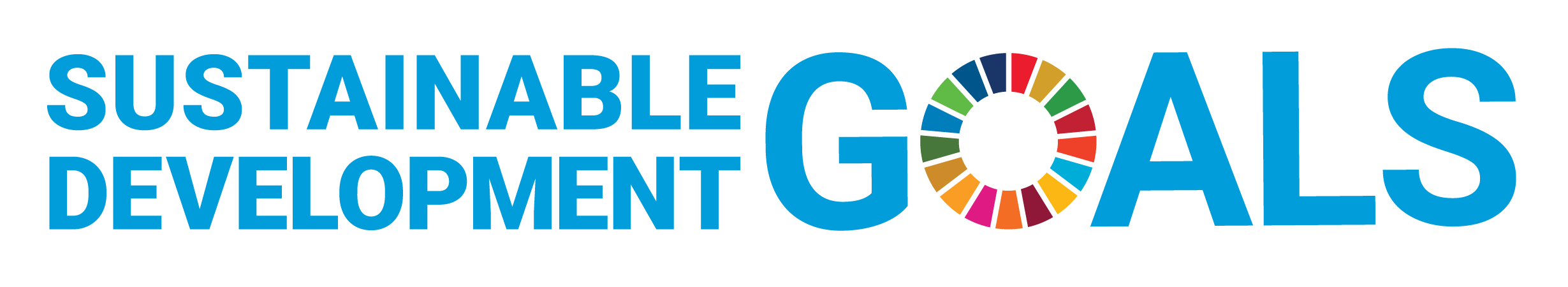 Sdg Logo